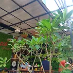 The Batik Hotel